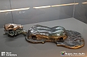 VBS_7776 - Salvador Dalì - The Exhibition